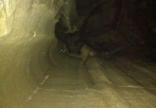 Mammoth Cave